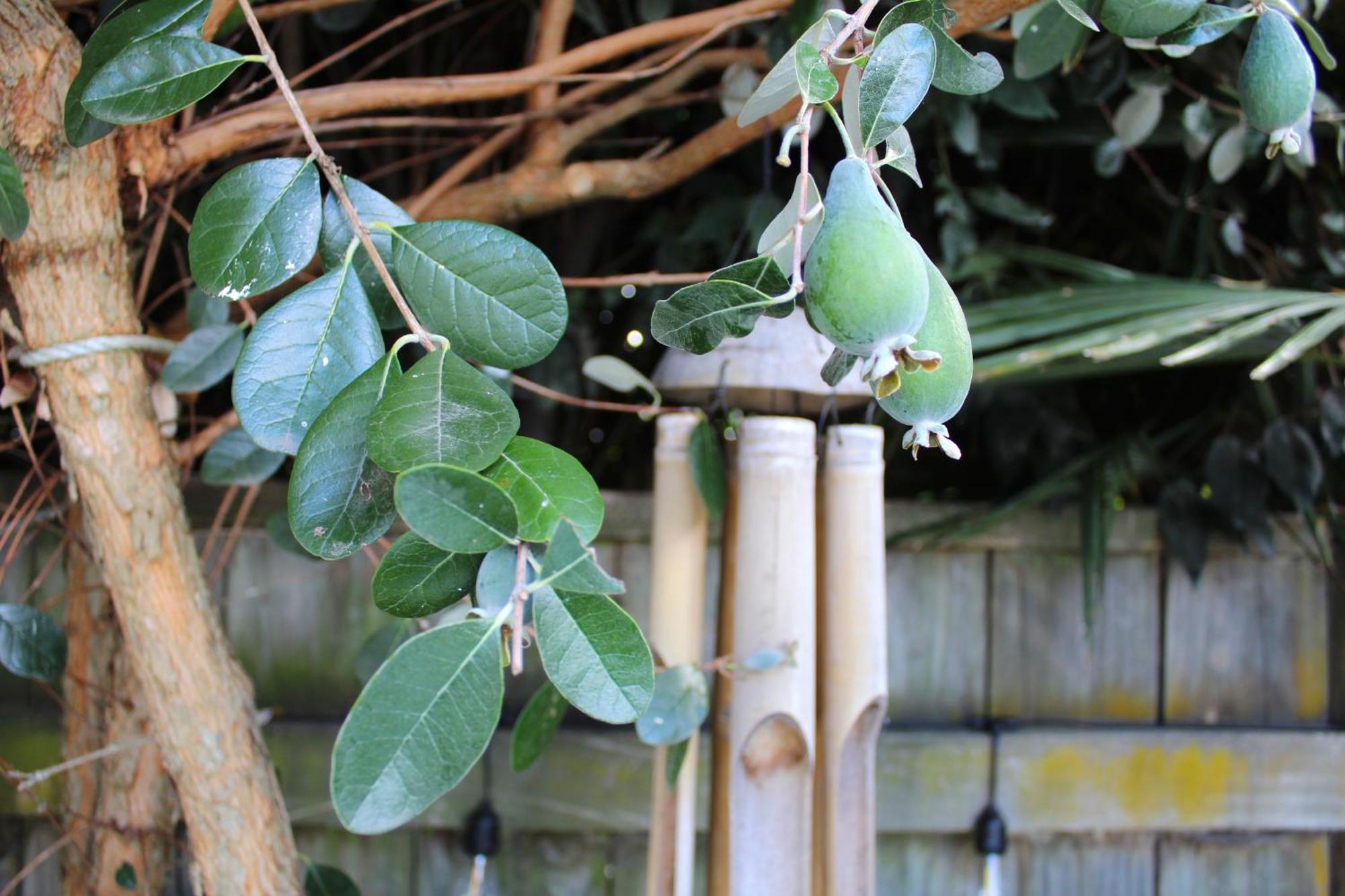 Beautiful Home With Short Stroll To Havelock Village 해브록노스 외부 사진